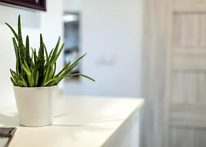 Pilsudskiego 80 - 4 Minuty Do Dworca Glownego Pkp 아파트 브로츠와프